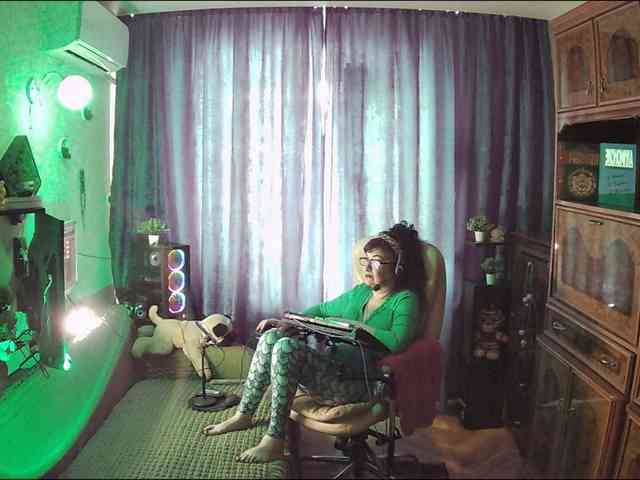 Infodar webcam