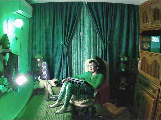 Infodar webcam