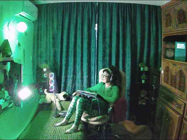 Infodar webcam
