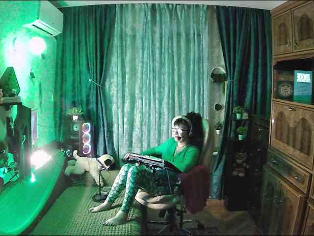 Infodar webcam
