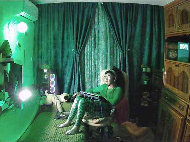 Infodar webcam
