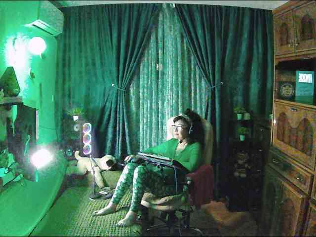 Infodar webcam