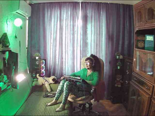 Infodar webcam