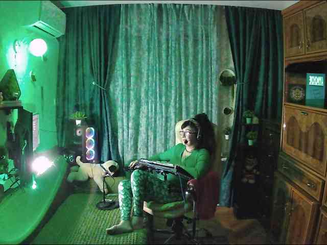 Infodar webcam