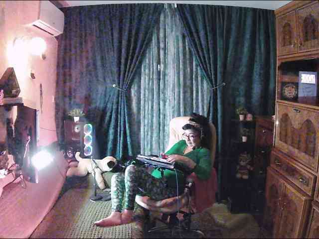 Infodar webcam