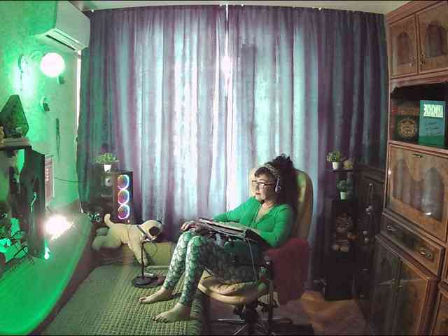 Infodar webcam
