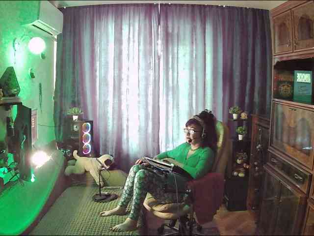Infodar webcam