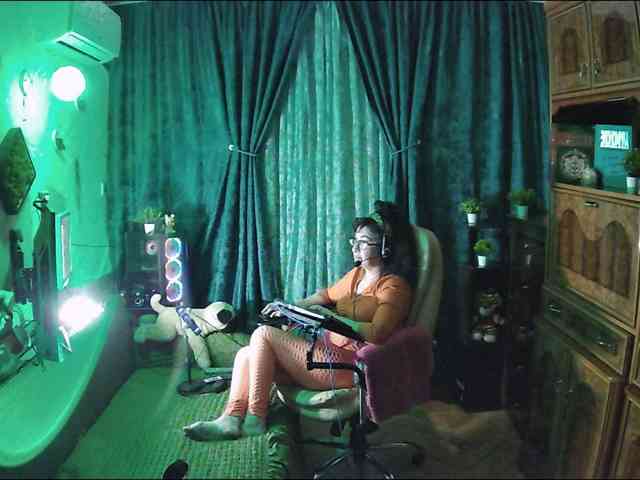 Infodar webcam