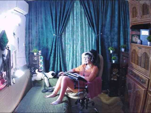 Infodar webcam