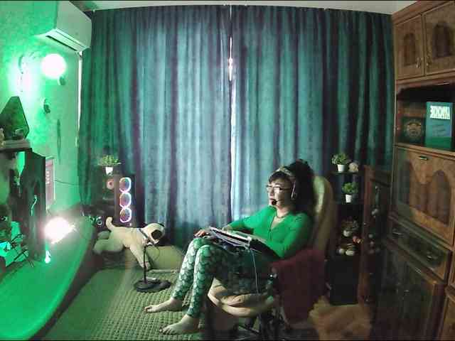 Infodar webcam