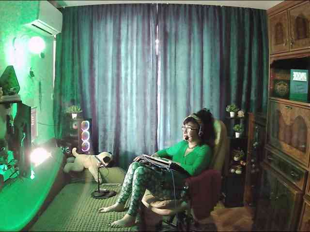 Infodar webcam