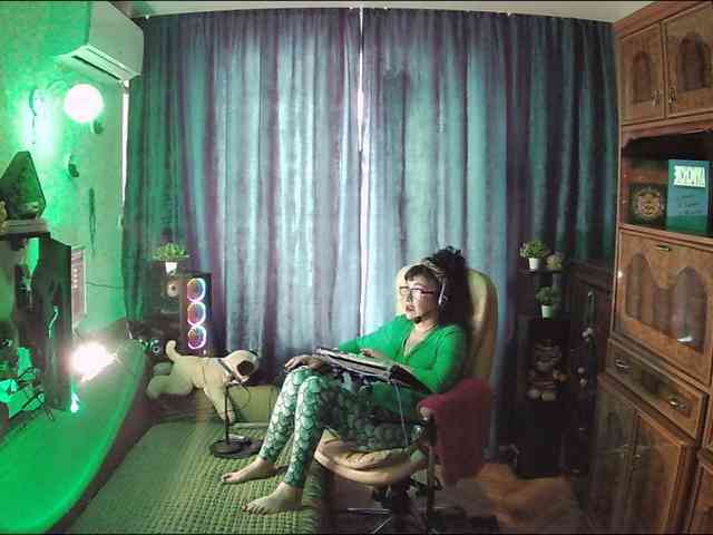 Infodar webcam