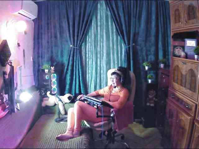 Infodar webcam