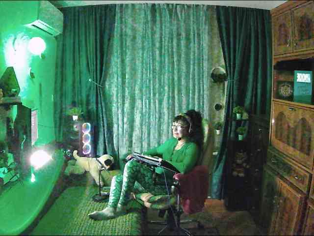 Infodar webcam