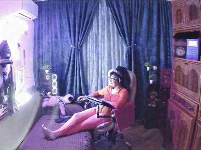 Infodar webcam