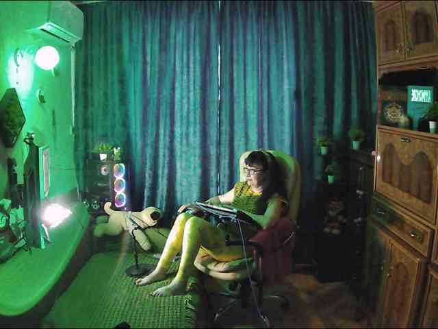 Infodar webcam