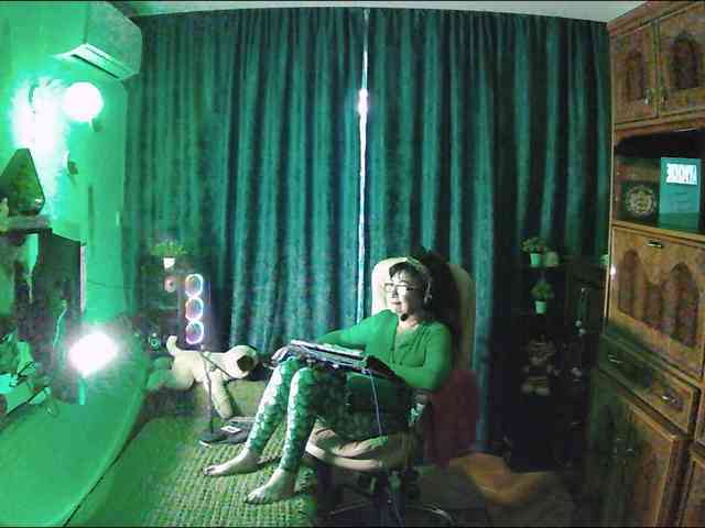 Infodar webcam