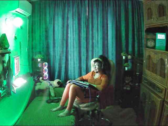 Infodar webcam