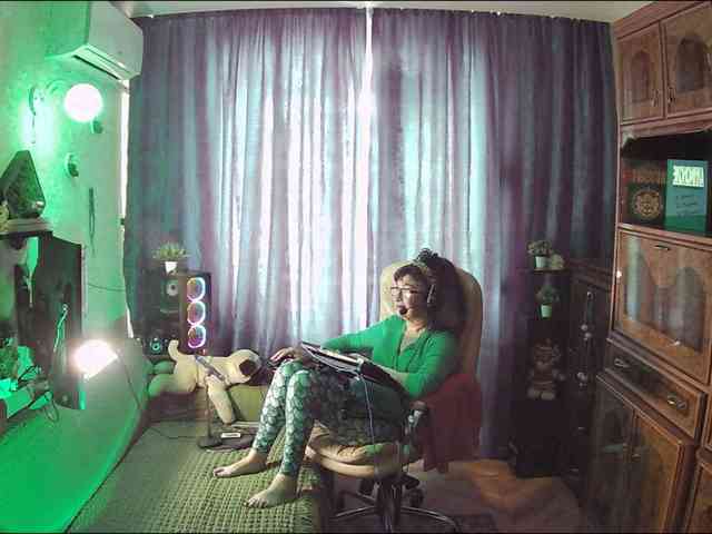 Infodar webcam