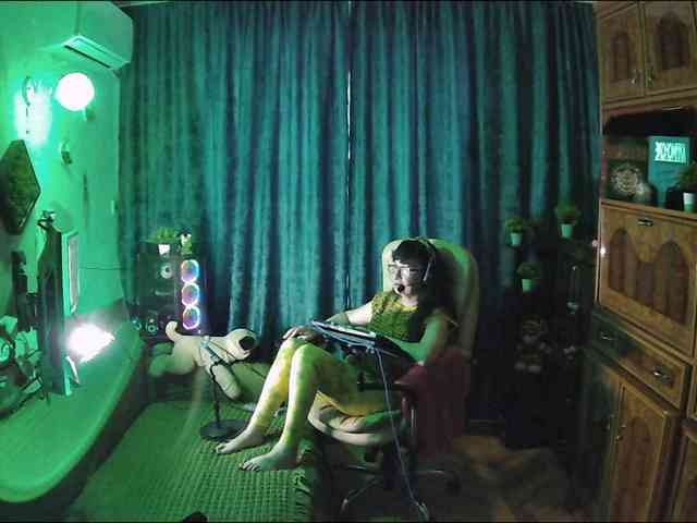 Infodar webcam