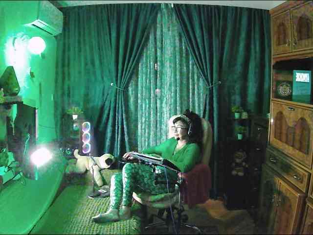 Infodar webcam