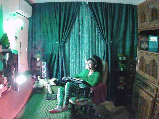 Infodar webcam