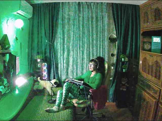 Infodar webcam