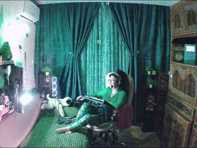 Infodar webcam