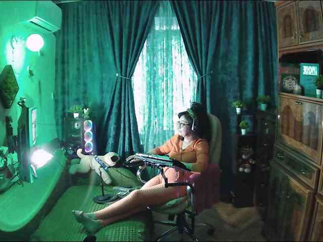 Infodar webcam