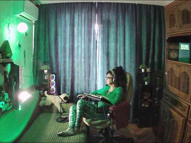 Infodar webcam