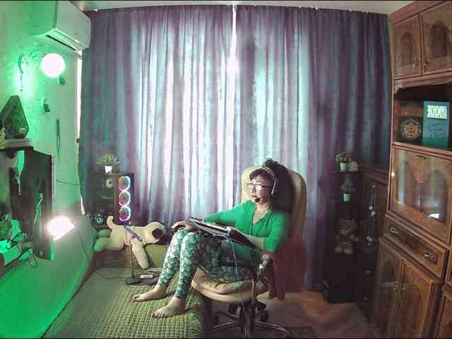 Infodar webcam