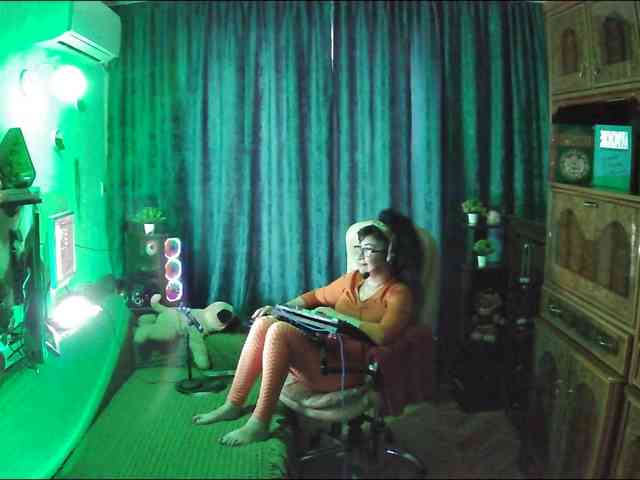 Infodar webcam