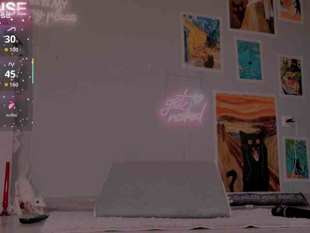 wo_voz webcam