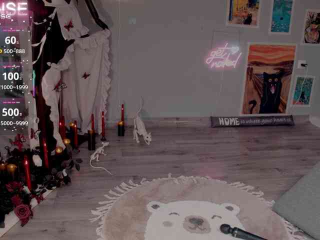 wo_voz webcam