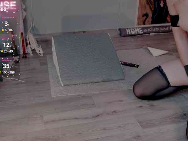 wo_voz webcam