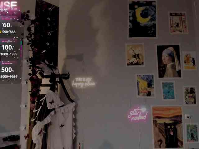 wo_voz webcam