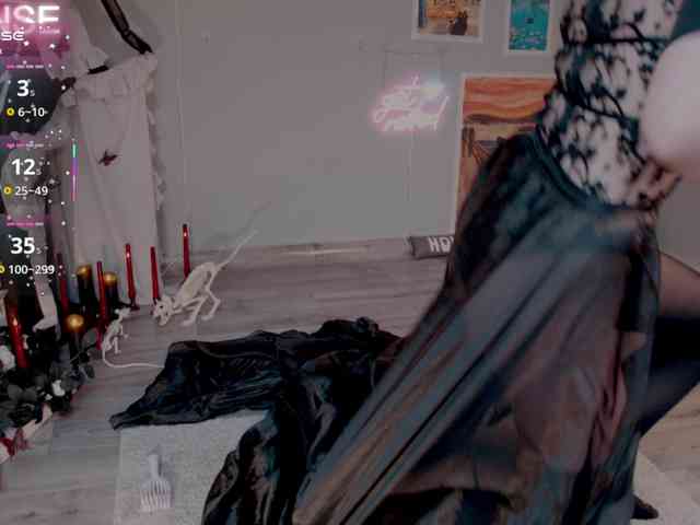 wo_voz webcam