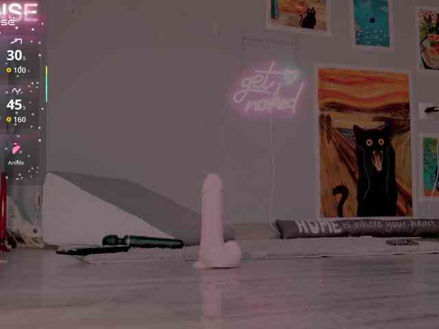 wo_voz webcam