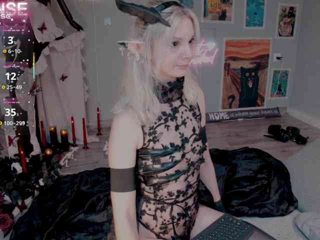 wo_voz webcam
