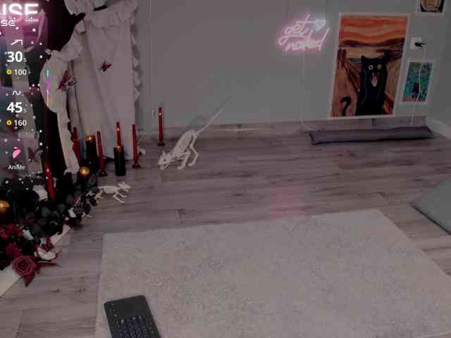 wo_voz webcam