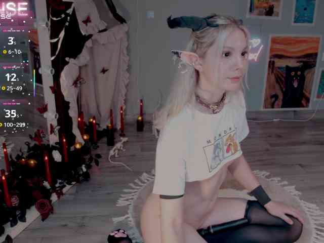 wo_voz webcam