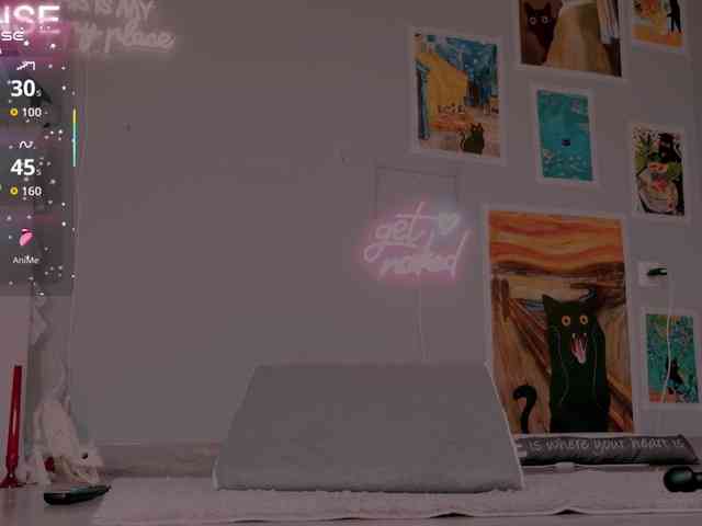 wo_voz webcam