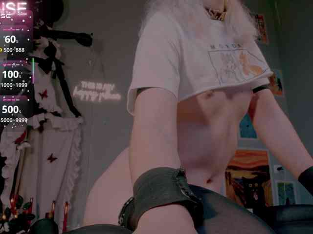 wo_voz webcam