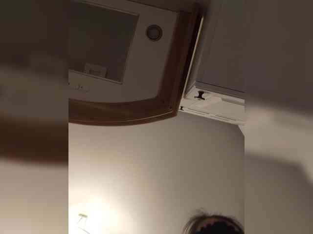 -Smetanka- webcam