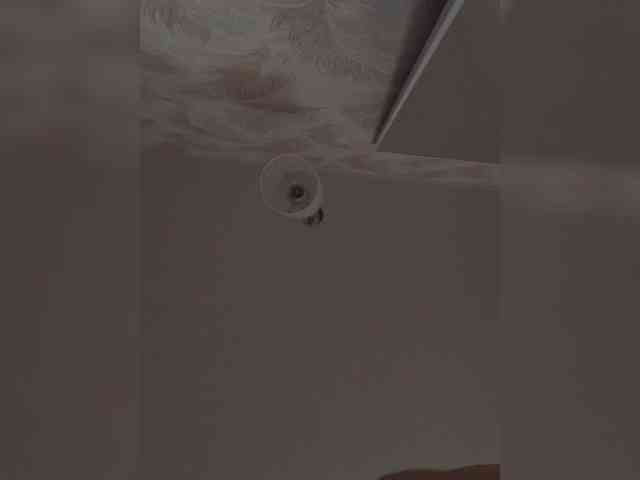 -Smetanka- webcam