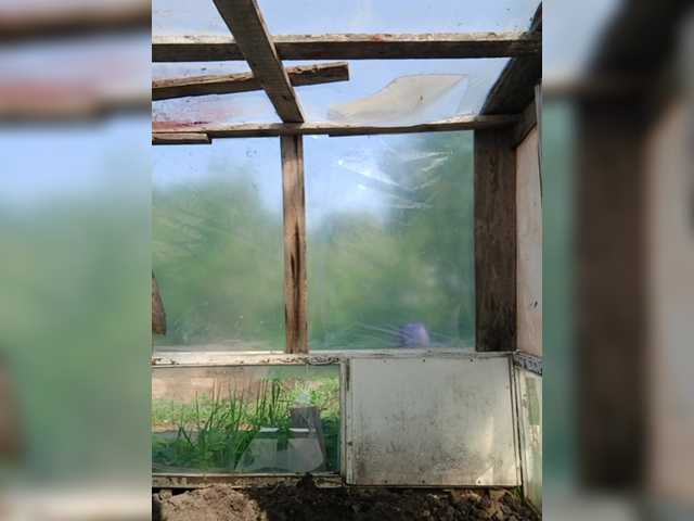 Рунетки: , секс чат бесплатно