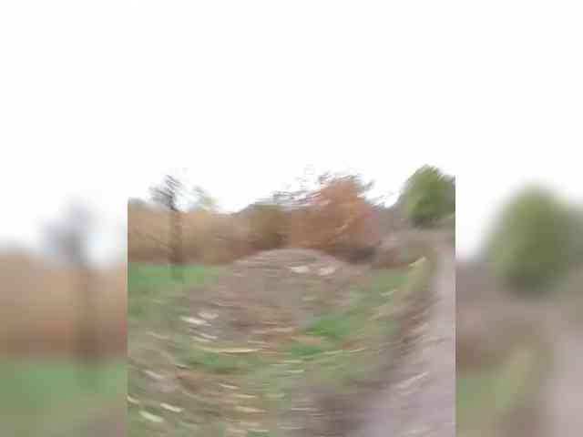 Zarevna webcam