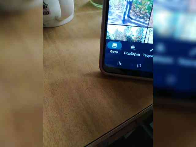 Zarevna webcam