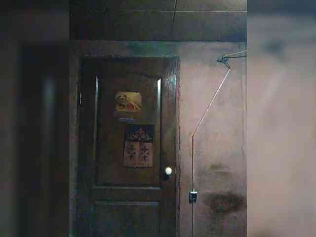 Zarevna webcam