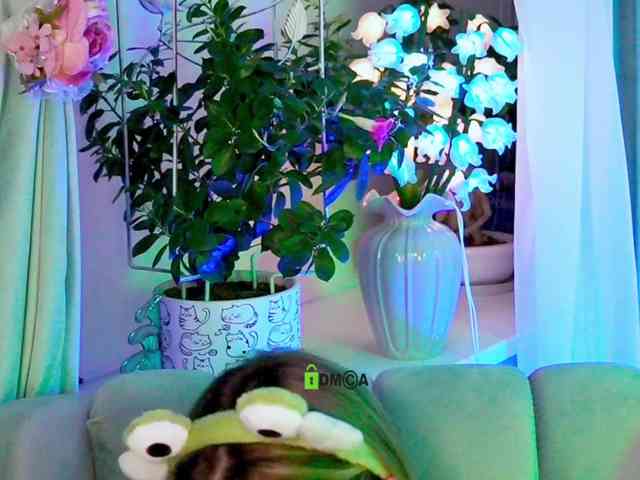 -ANN webcam